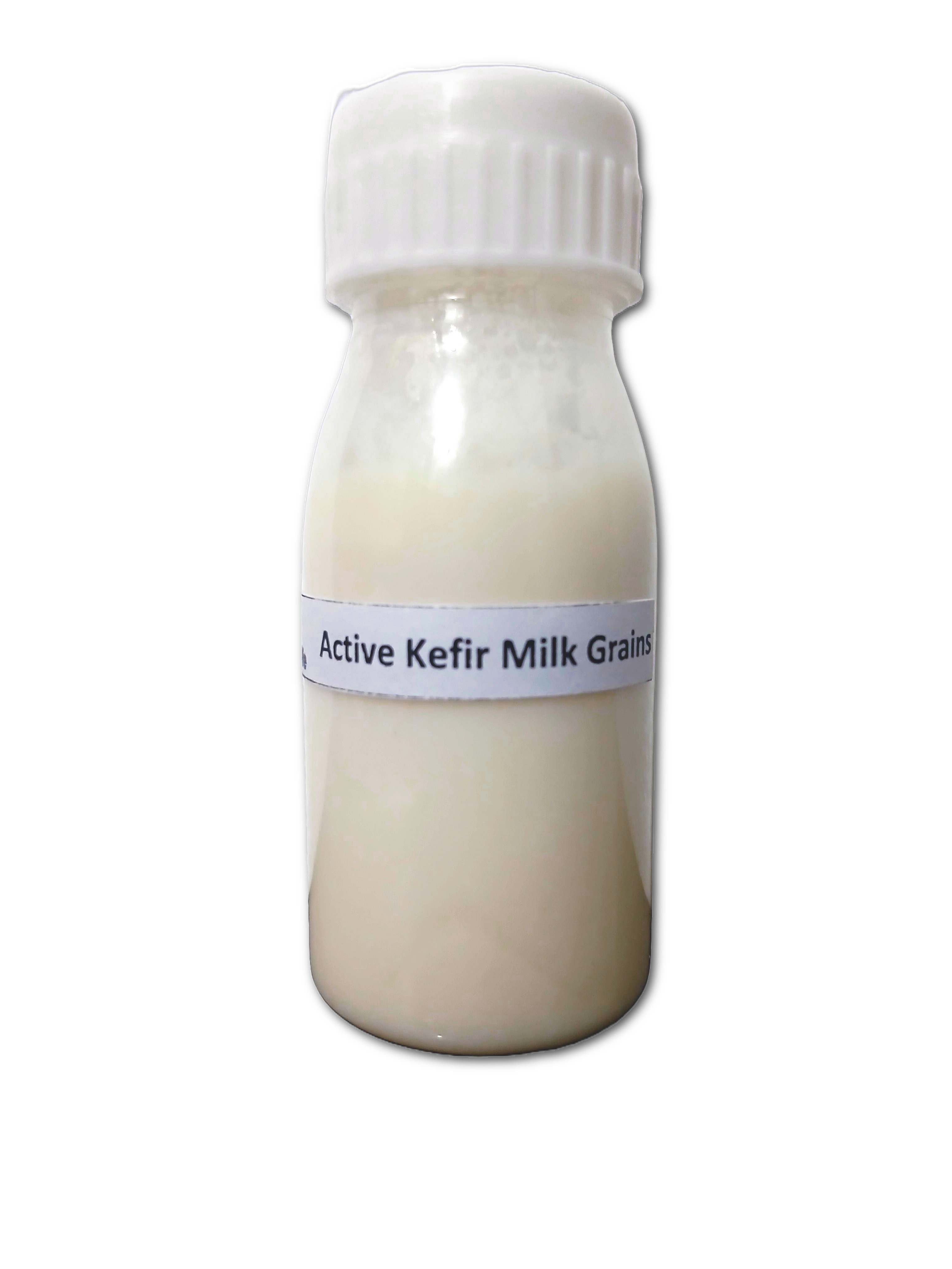EzonLife Kefir Grains in Bottle