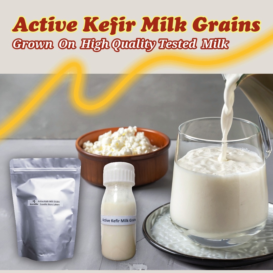 Kefir Grains